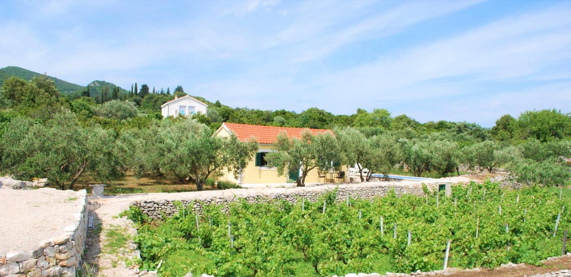 Vineyard House & Olive Grove House Racisce Exterior foto