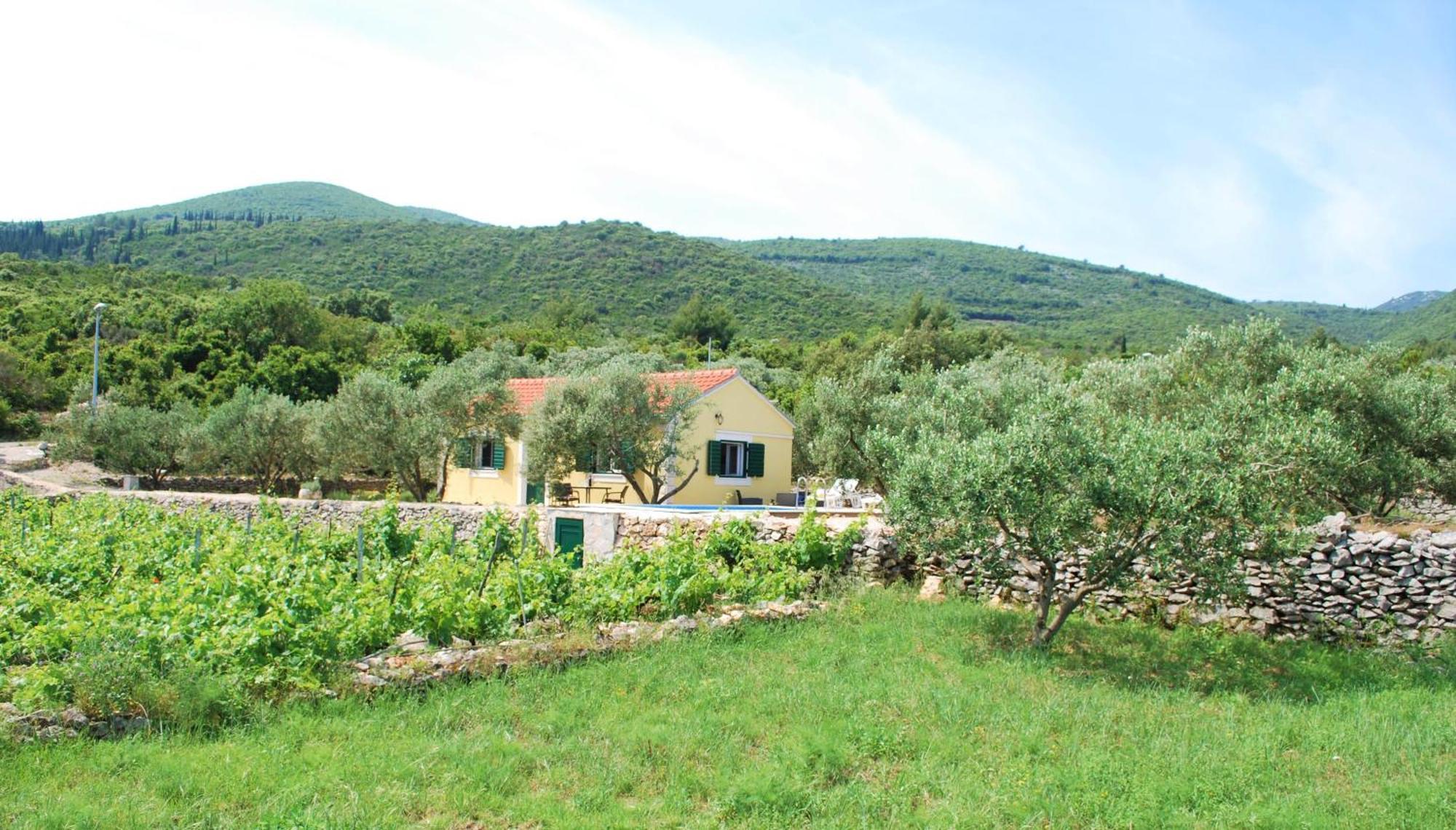 Vineyard House & Olive Grove House Racisce Exterior foto