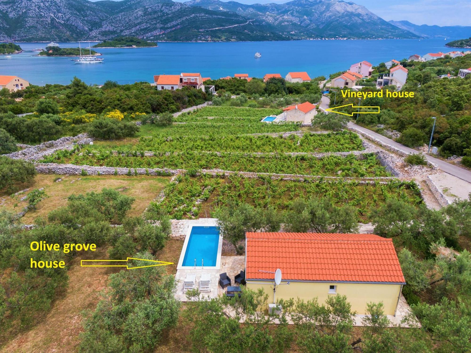 Vineyard House & Olive Grove House Racisce Exterior foto