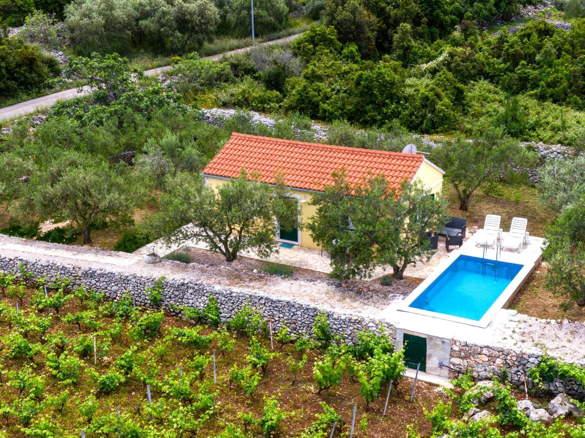 Vineyard House & Olive Grove House Racisce Exterior foto