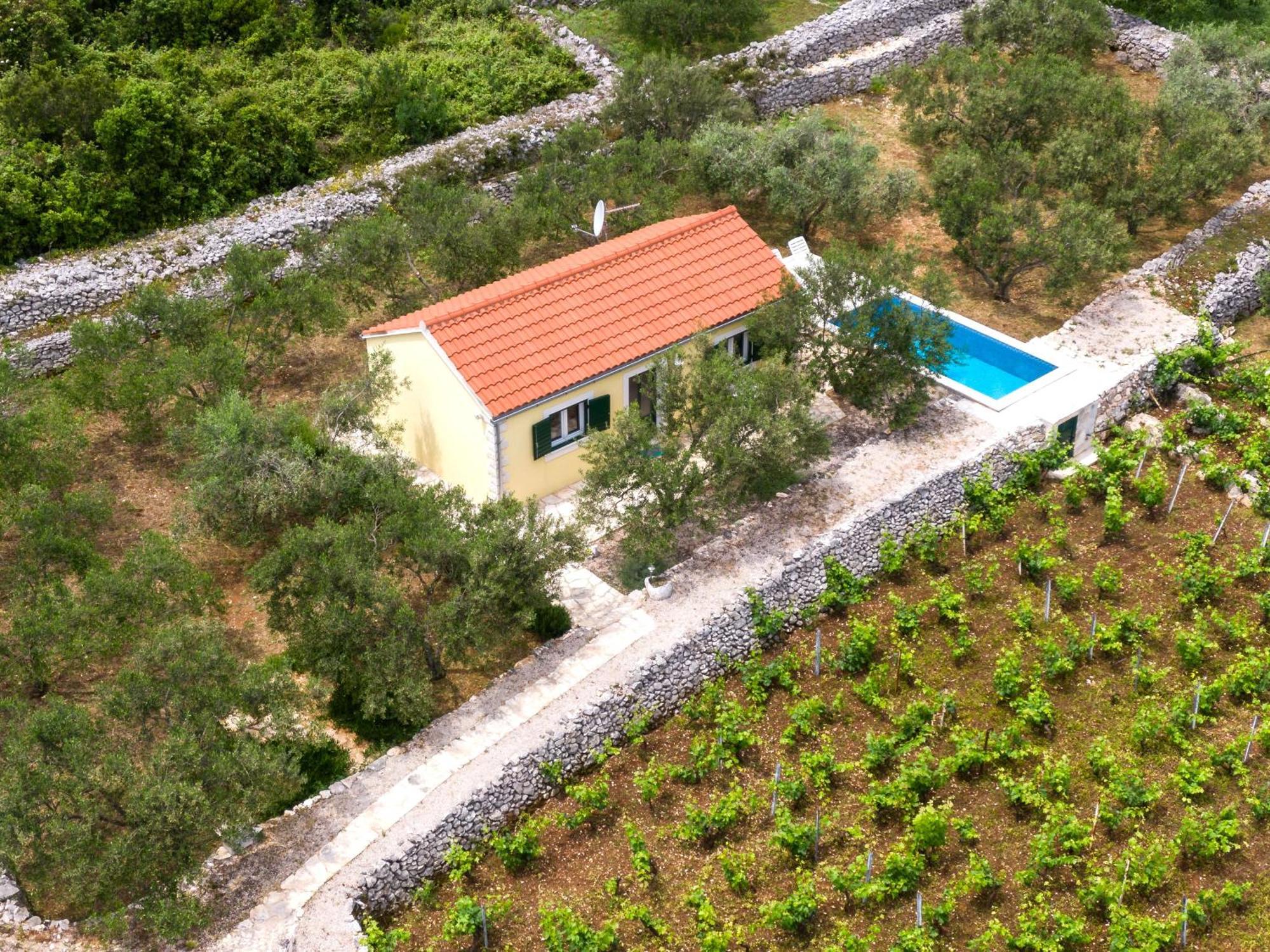 Vineyard House & Olive Grove House Racisce Exterior foto
