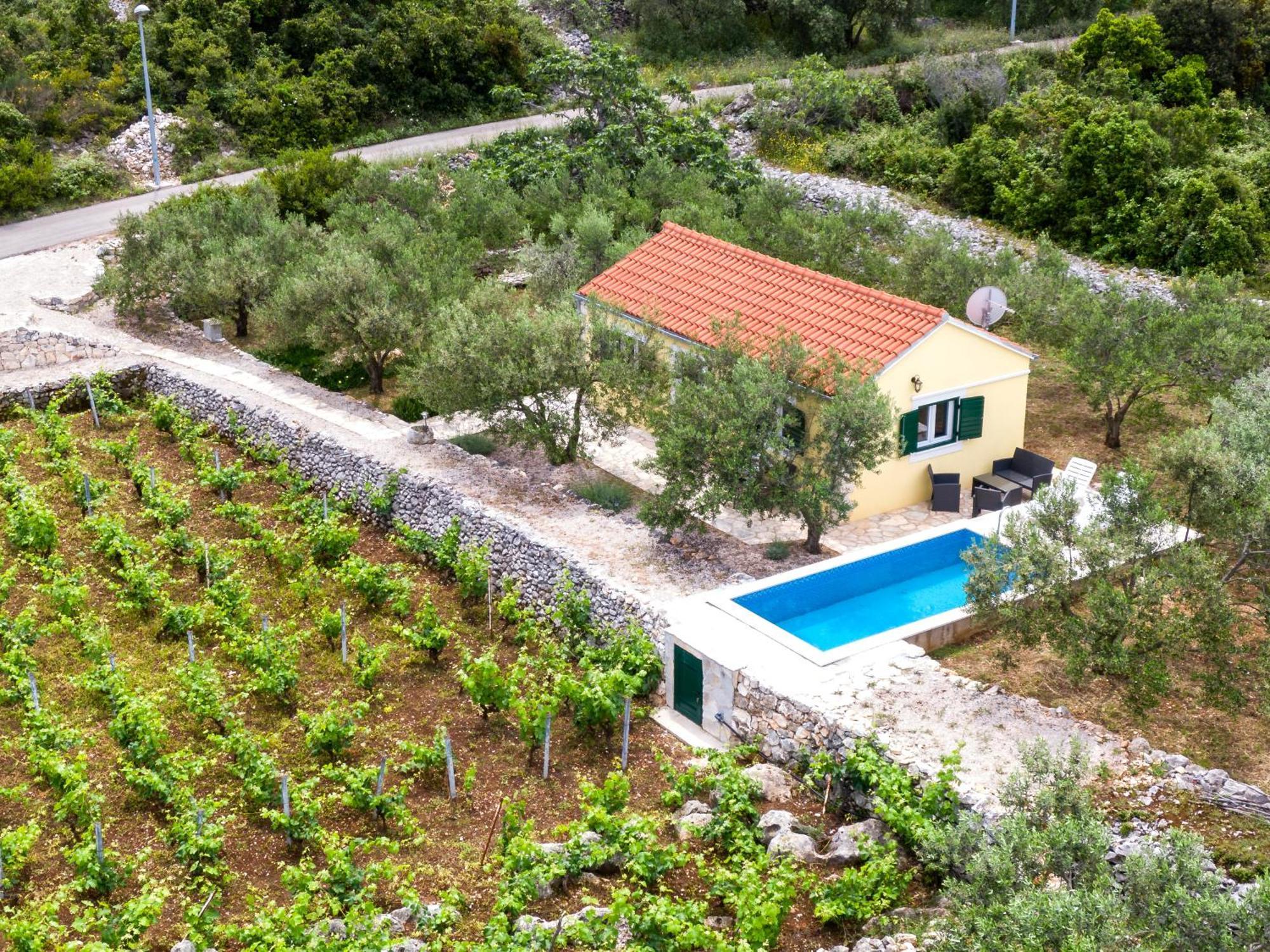 Vineyard House & Olive Grove House Racisce Exterior foto