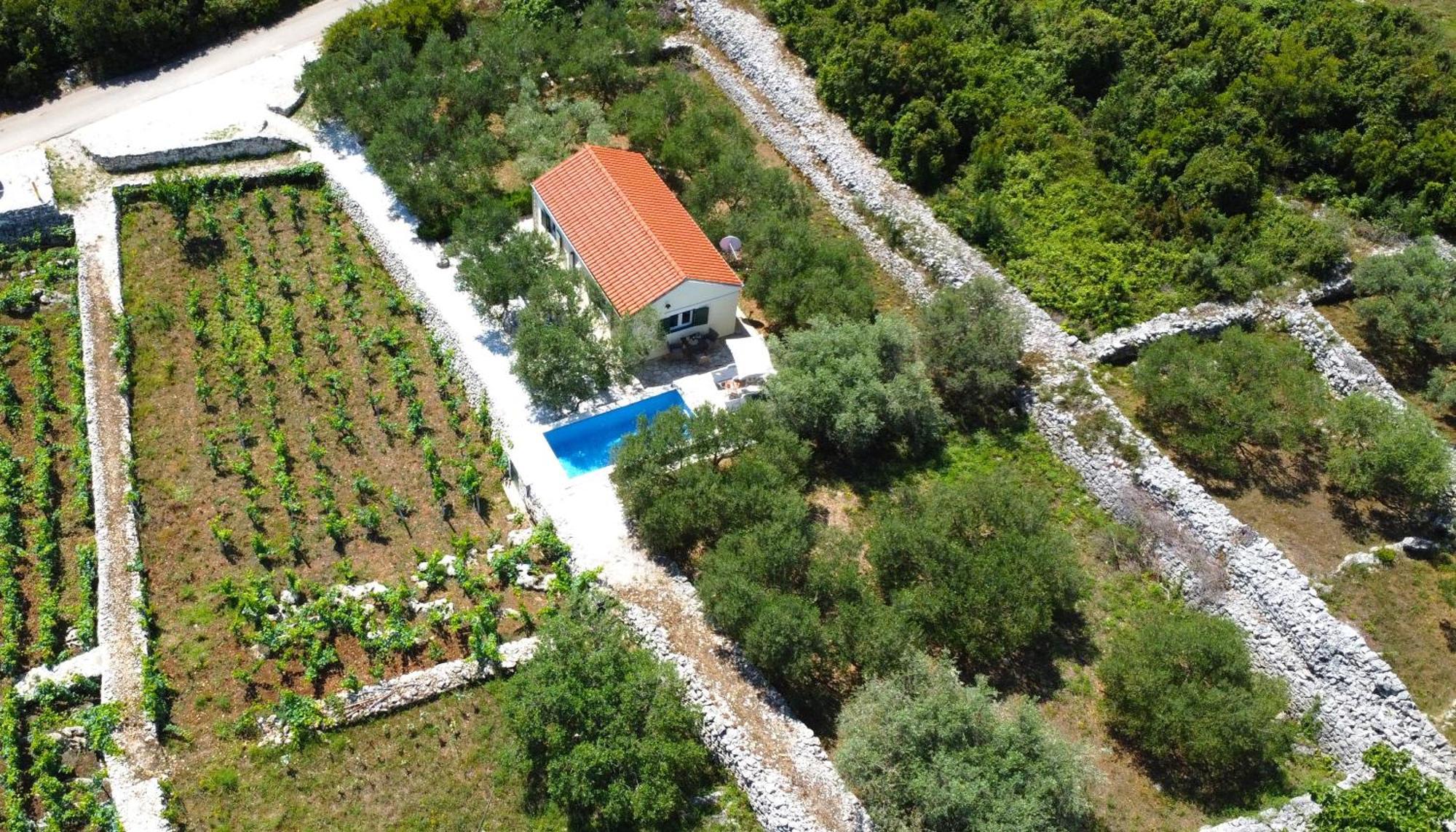 Vineyard House & Olive Grove House Racisce Exterior foto