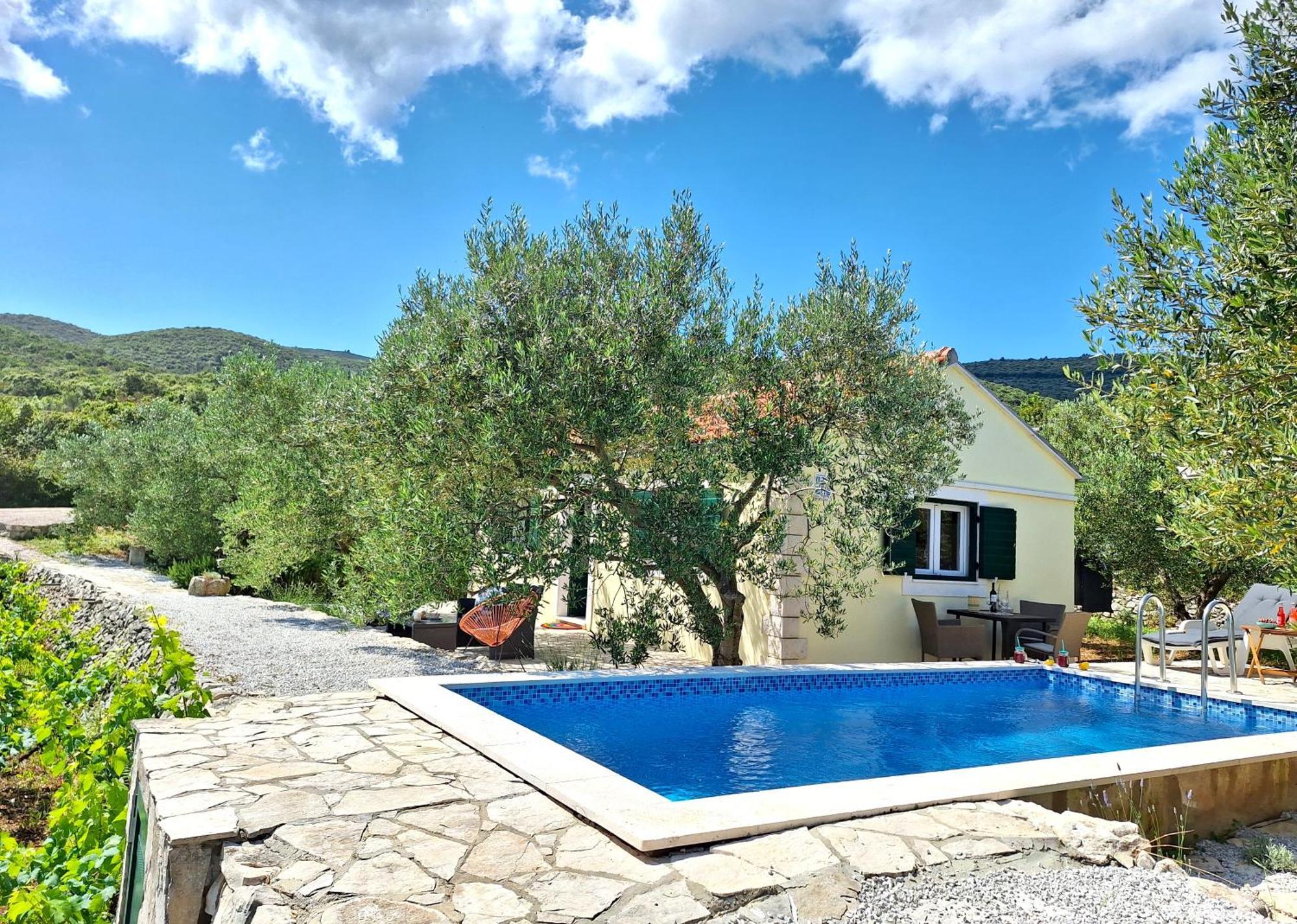 Vineyard House & Olive Grove House Racisce Exterior foto