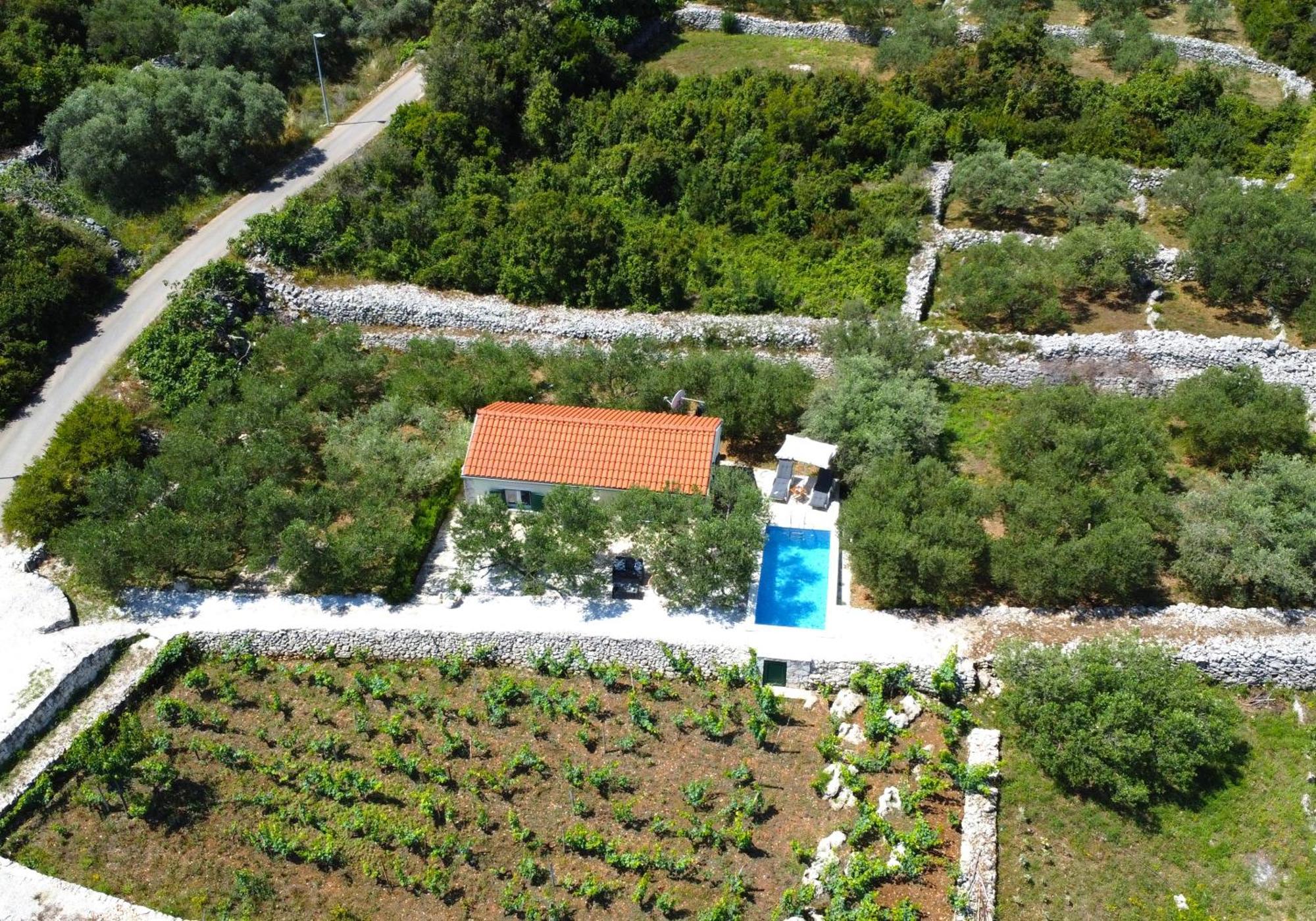 Vineyard House & Olive Grove House Racisce Exterior foto