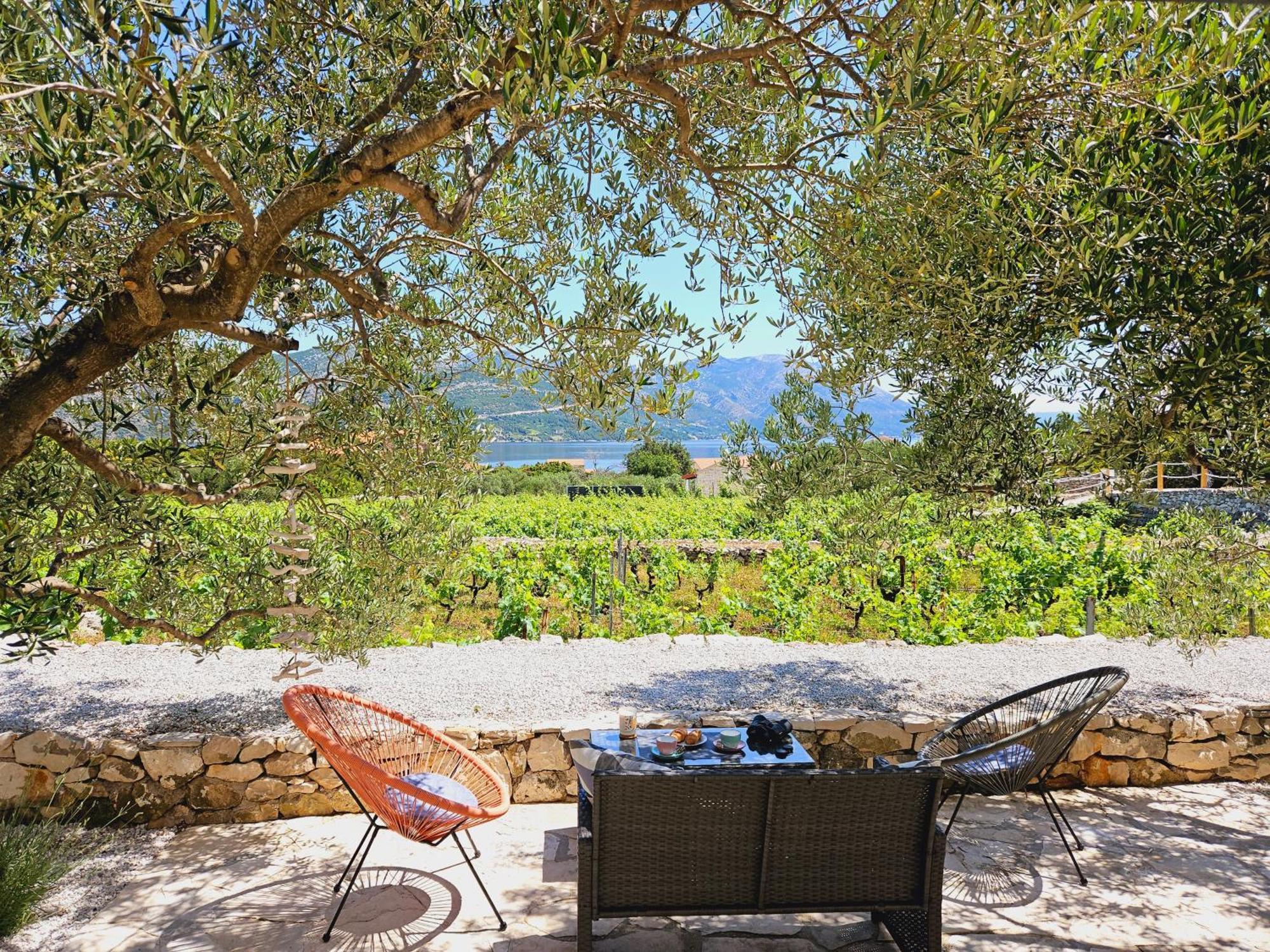 Vineyard House & Olive Grove House Racisce Exterior foto