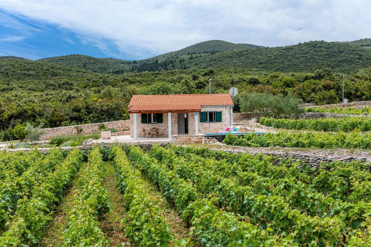 Vineyard House & Olive Grove House Racisce Exterior foto