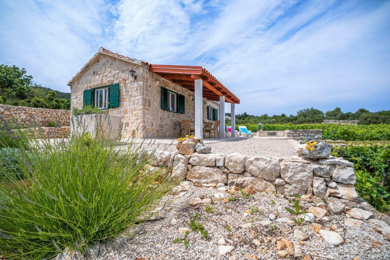 Vineyard House & Olive Grove House Racisce Exterior foto