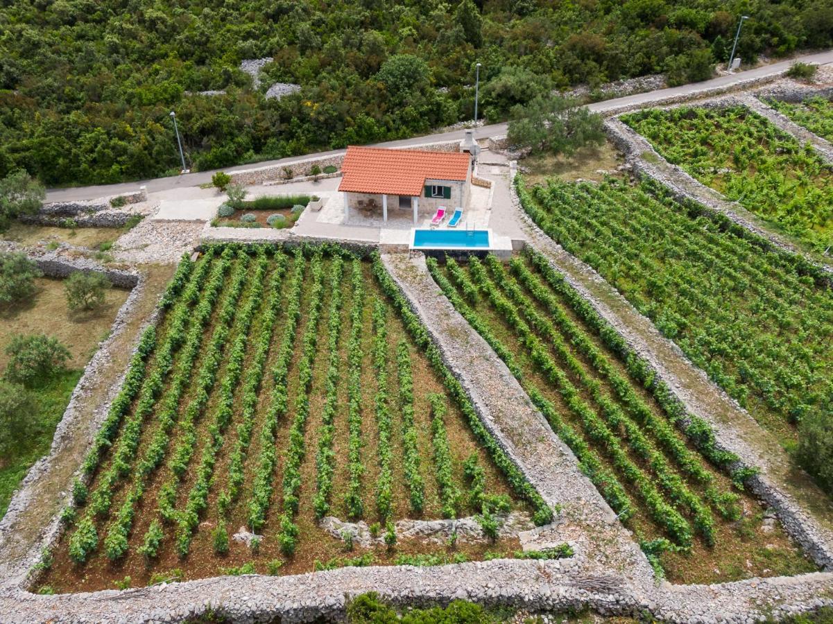 Vineyard House & Olive Grove House Racisce Exterior foto