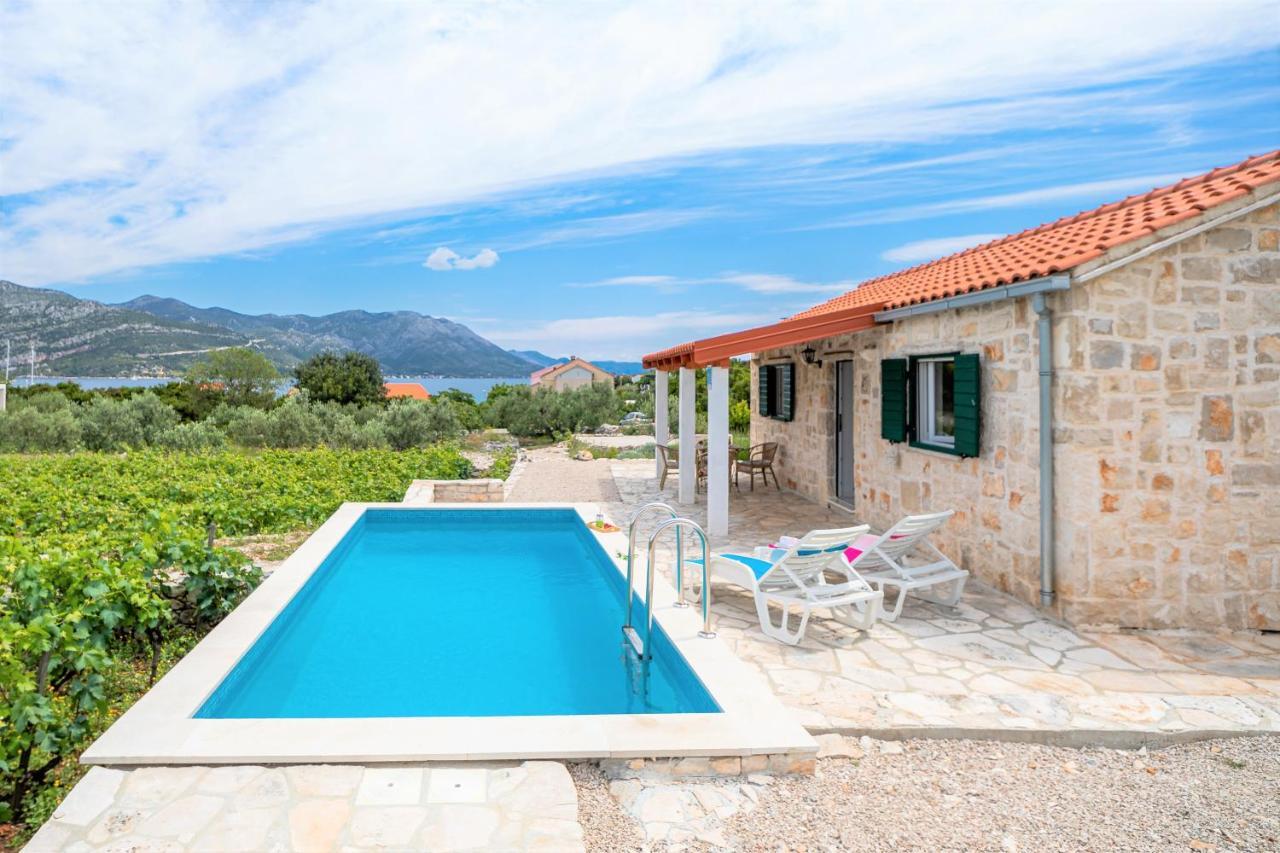 Vineyard House & Olive Grove House Racisce Exterior foto
