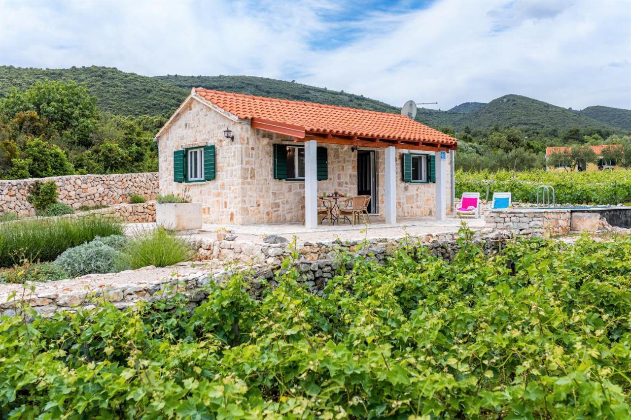 Vineyard House & Olive Grove House Racisce Exterior foto