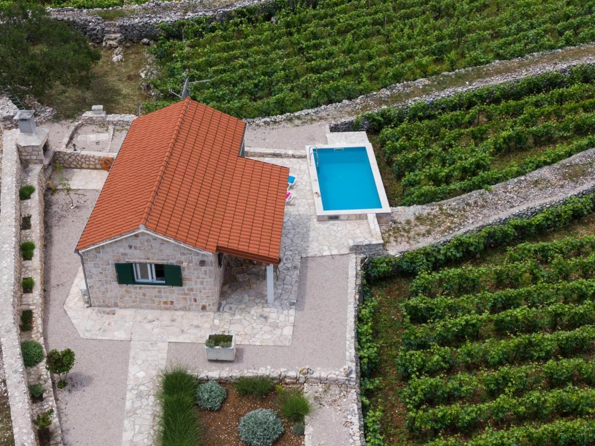 Vineyard House & Olive Grove House Racisce Exterior foto