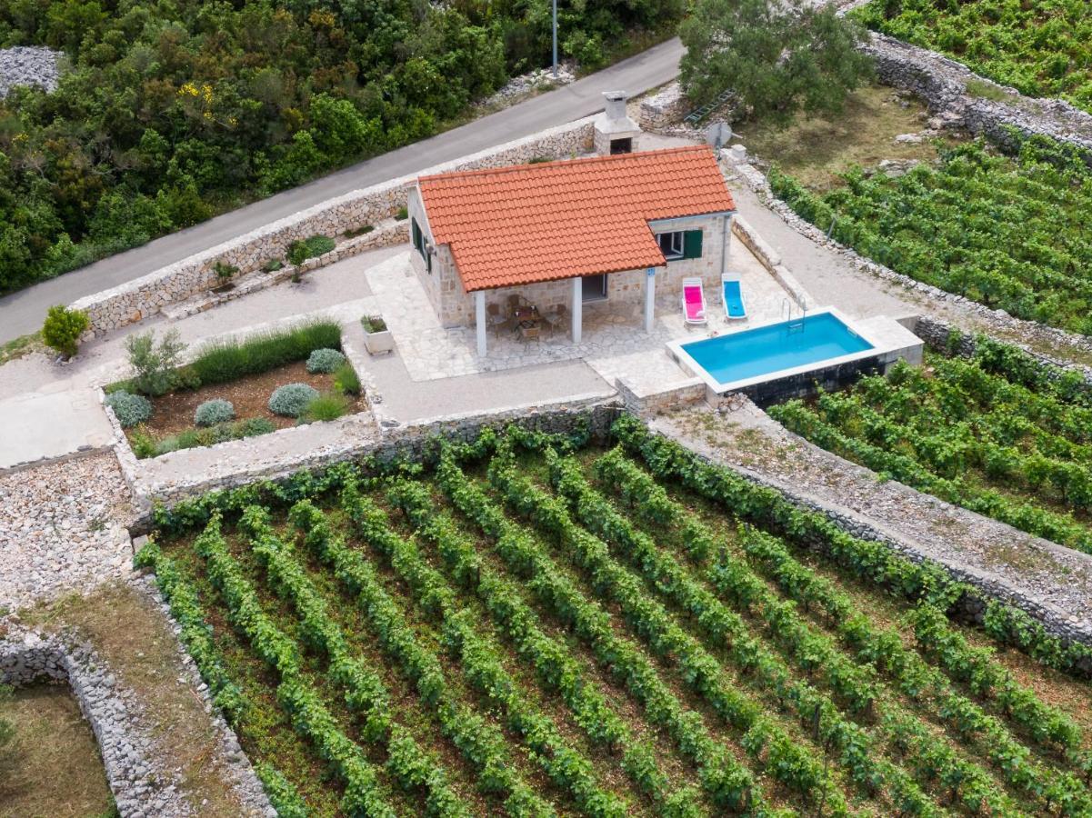 Vineyard House & Olive Grove House Racisce Exterior foto