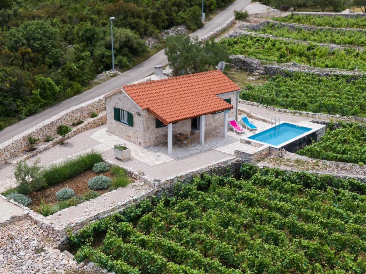 Vineyard House & Olive Grove House Racisce Exterior foto